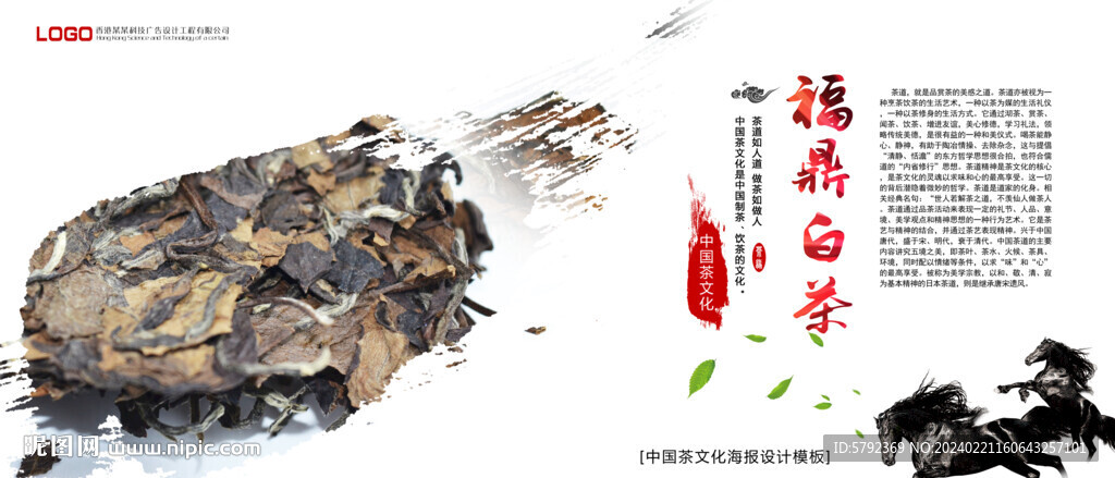 福鼎白茶