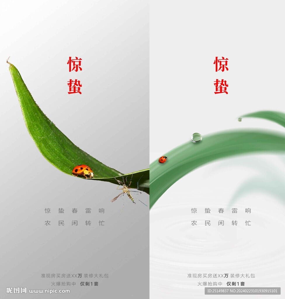 惊蛰海报 