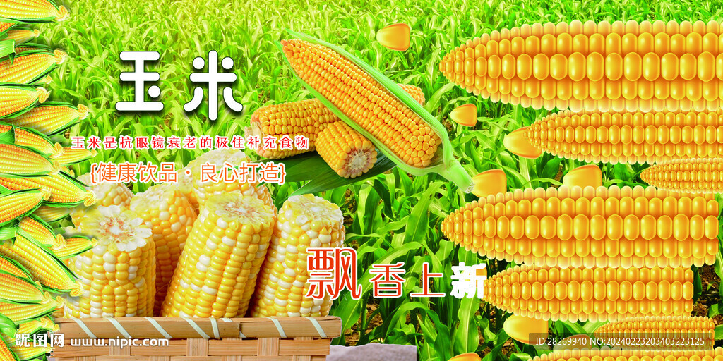 玉米海报 