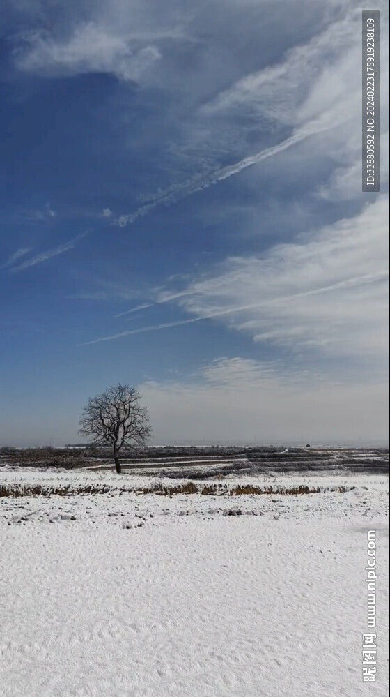 茫茫白雪
