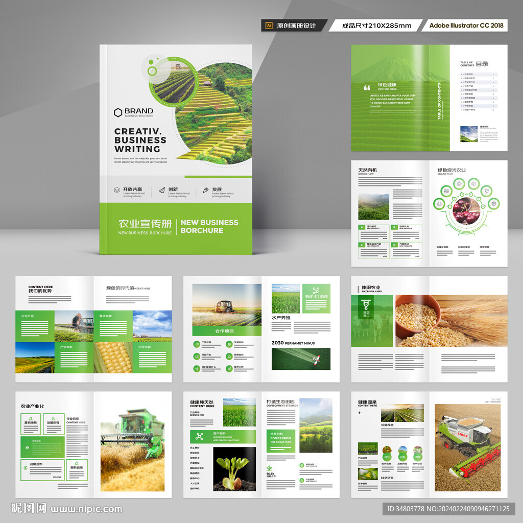 农产品画册
