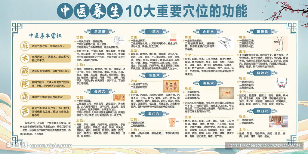 中医重要穴位的功能