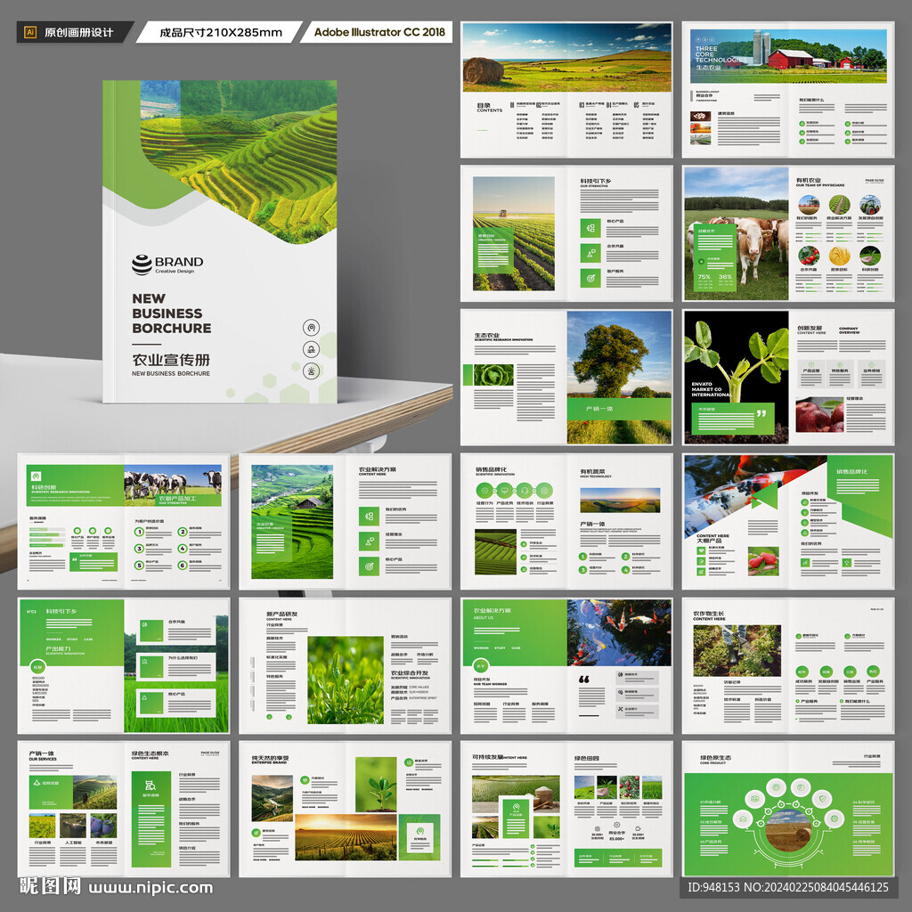 农产品宣传册