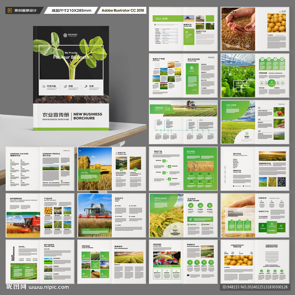 农产品宣传册