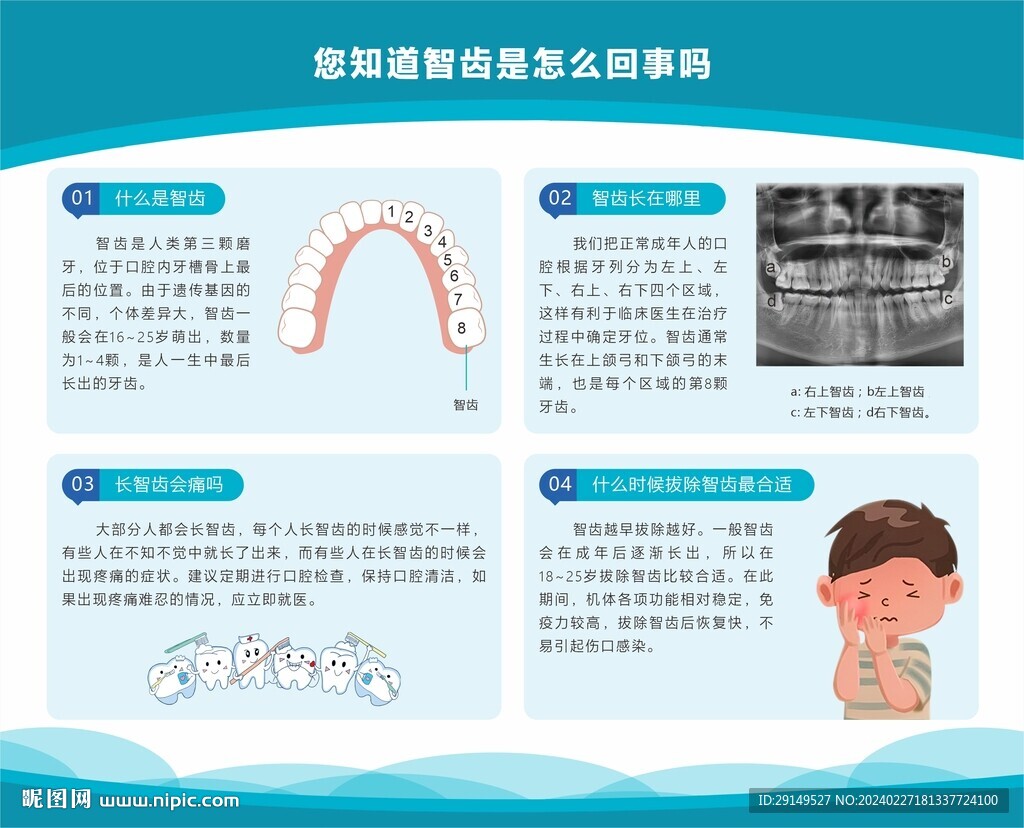 智牙海报