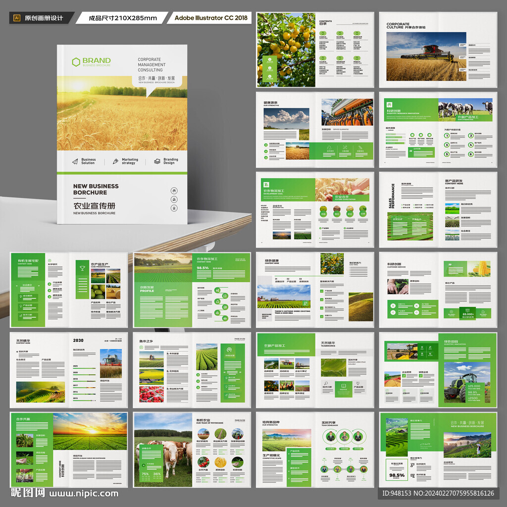 农业合作社画册