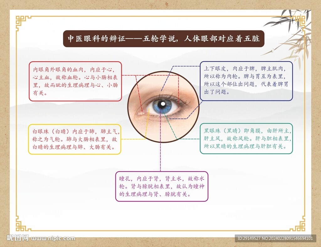 中医眼科展板