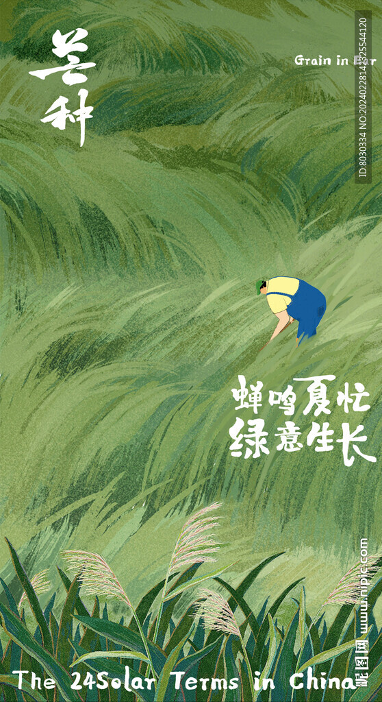 芒种