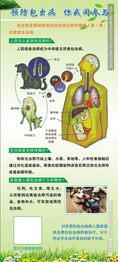 预防包虫病