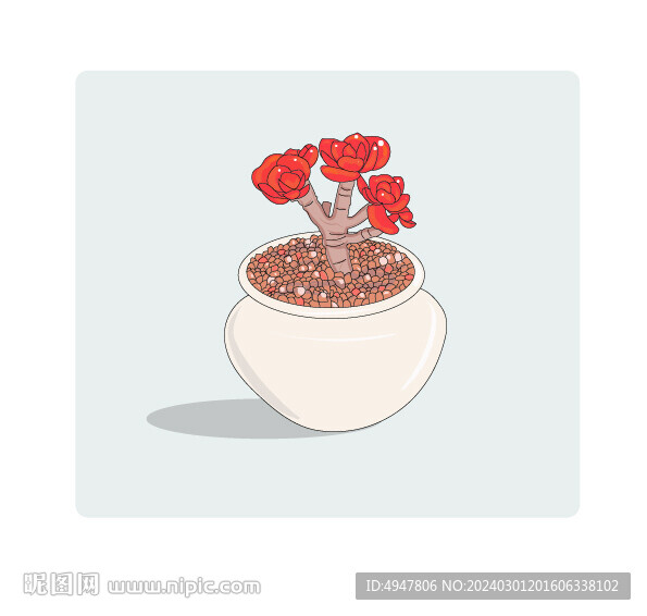 多肉 植物 矢量图