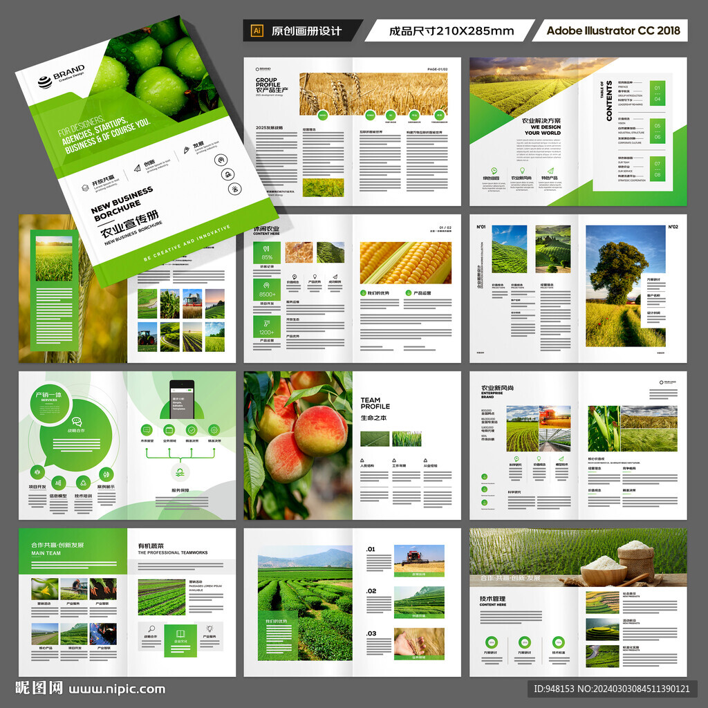 农产品宣传册