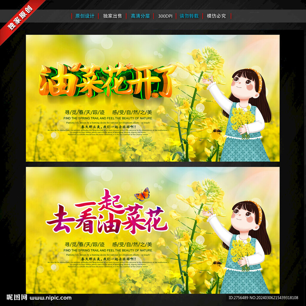 油菜花