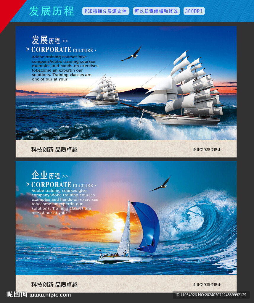 发展历程