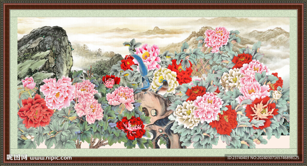 牡丹花 