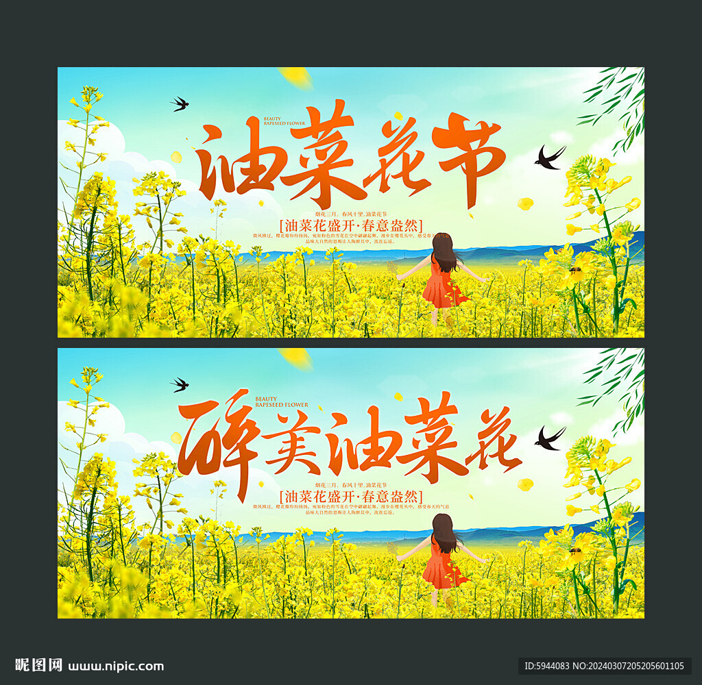 油菜花