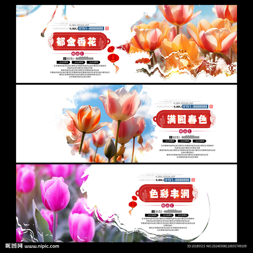 郁金香