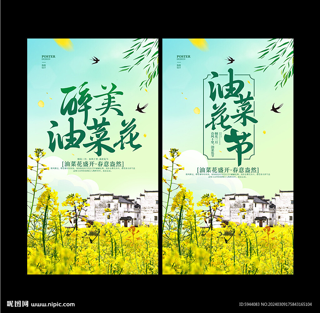 油菜花