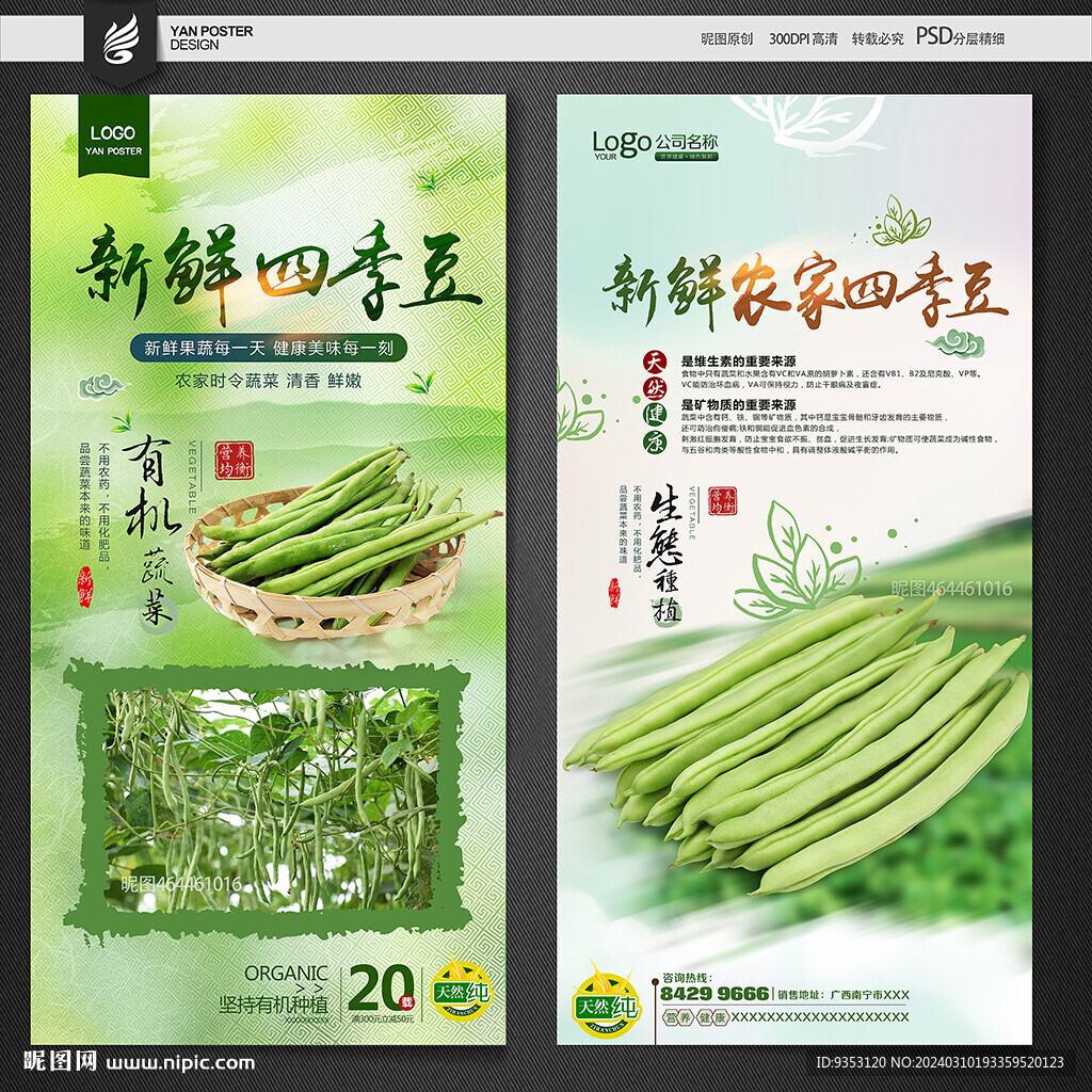 四季豆