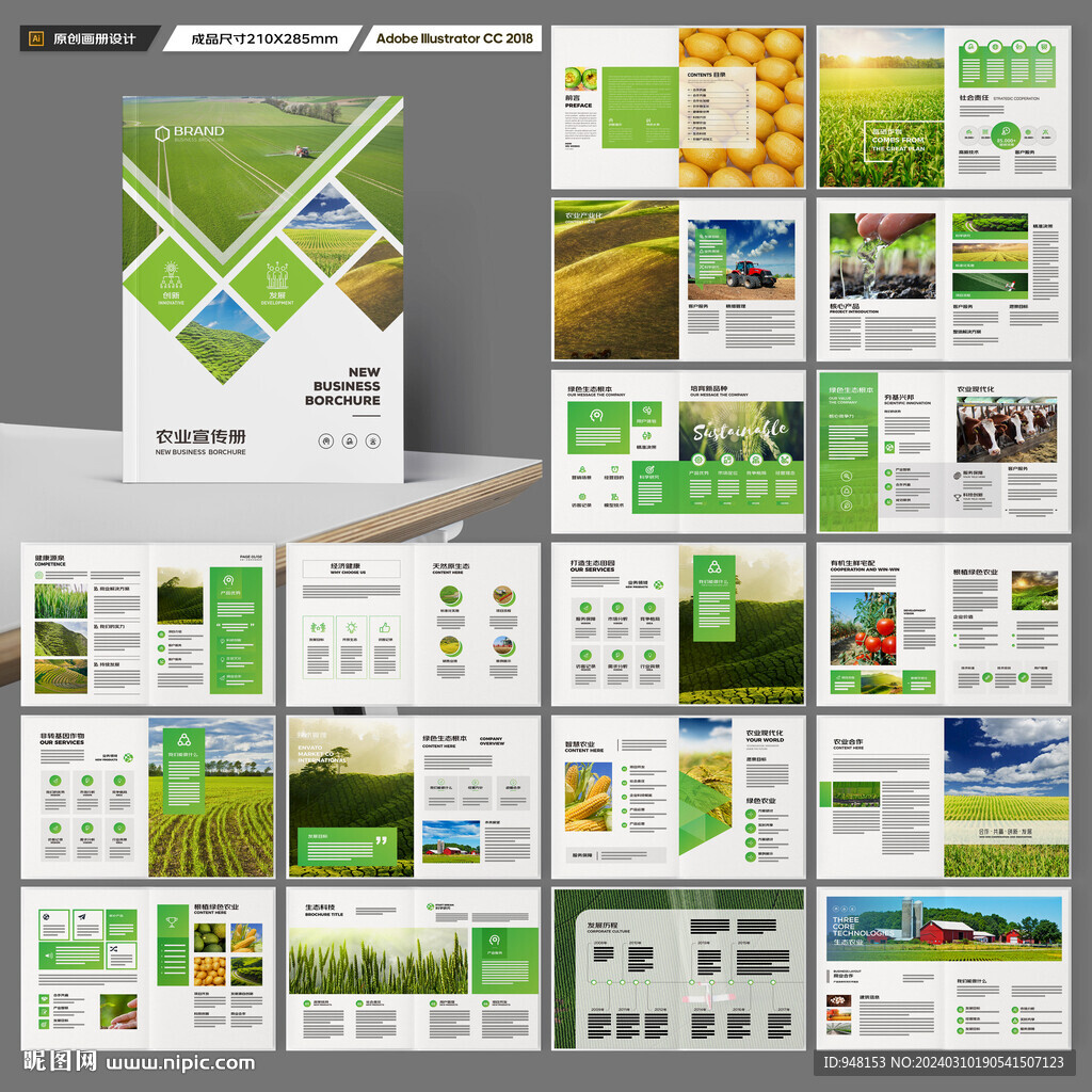 农产品宣传册