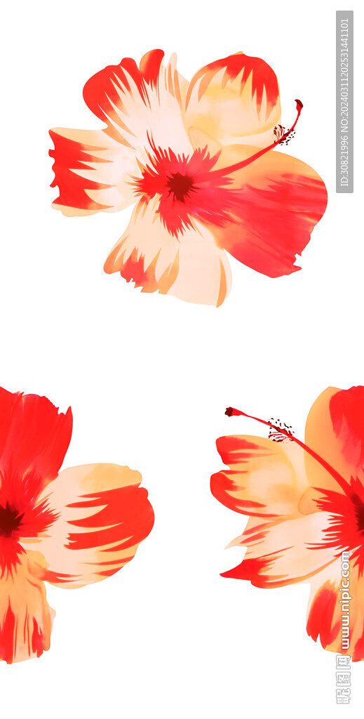 芙蓉花