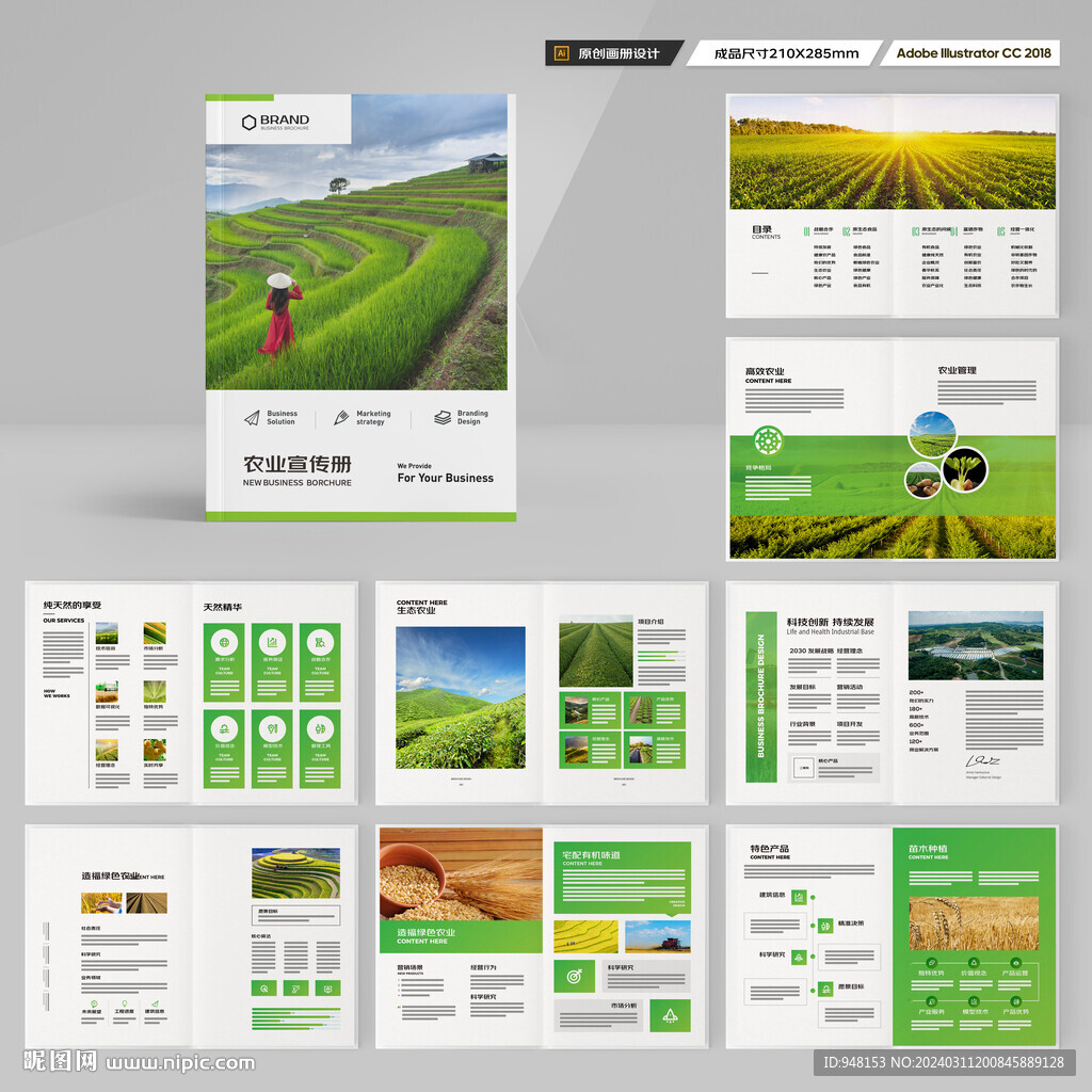 农产品画册