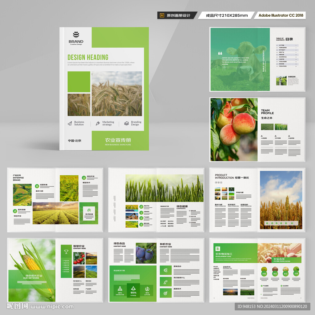 农业科技画册