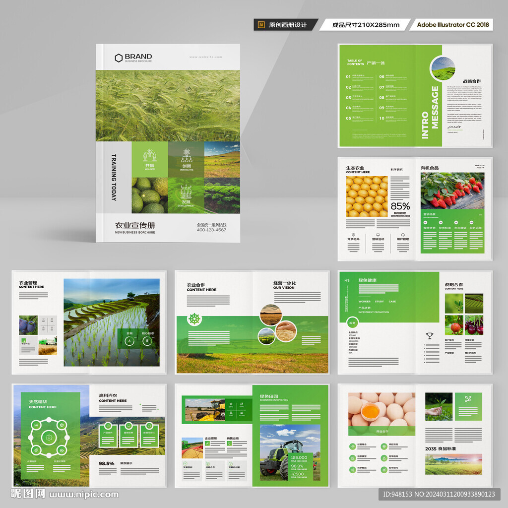 农业宣传册