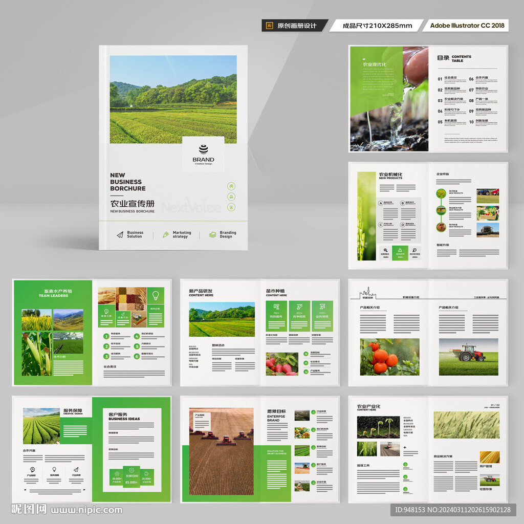 农产品宣传册
