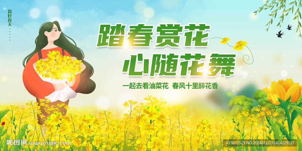 油菜花