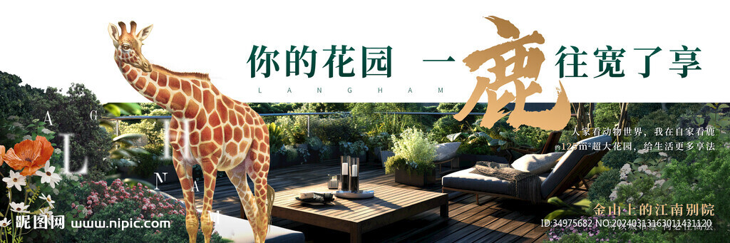 公园 动物 
