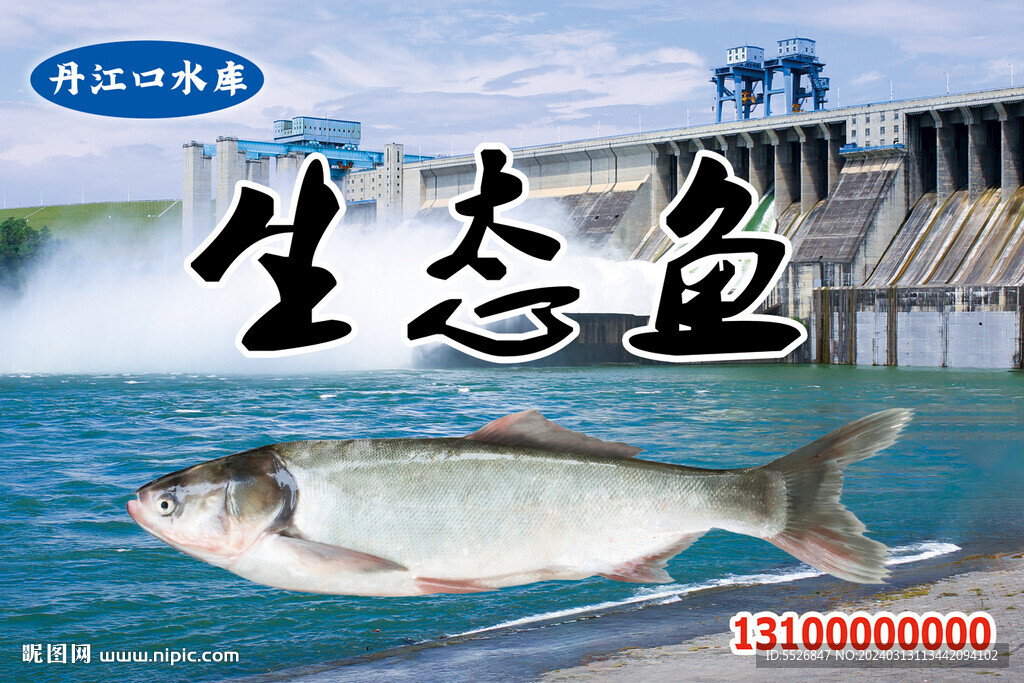 丹江口水库生态鱼