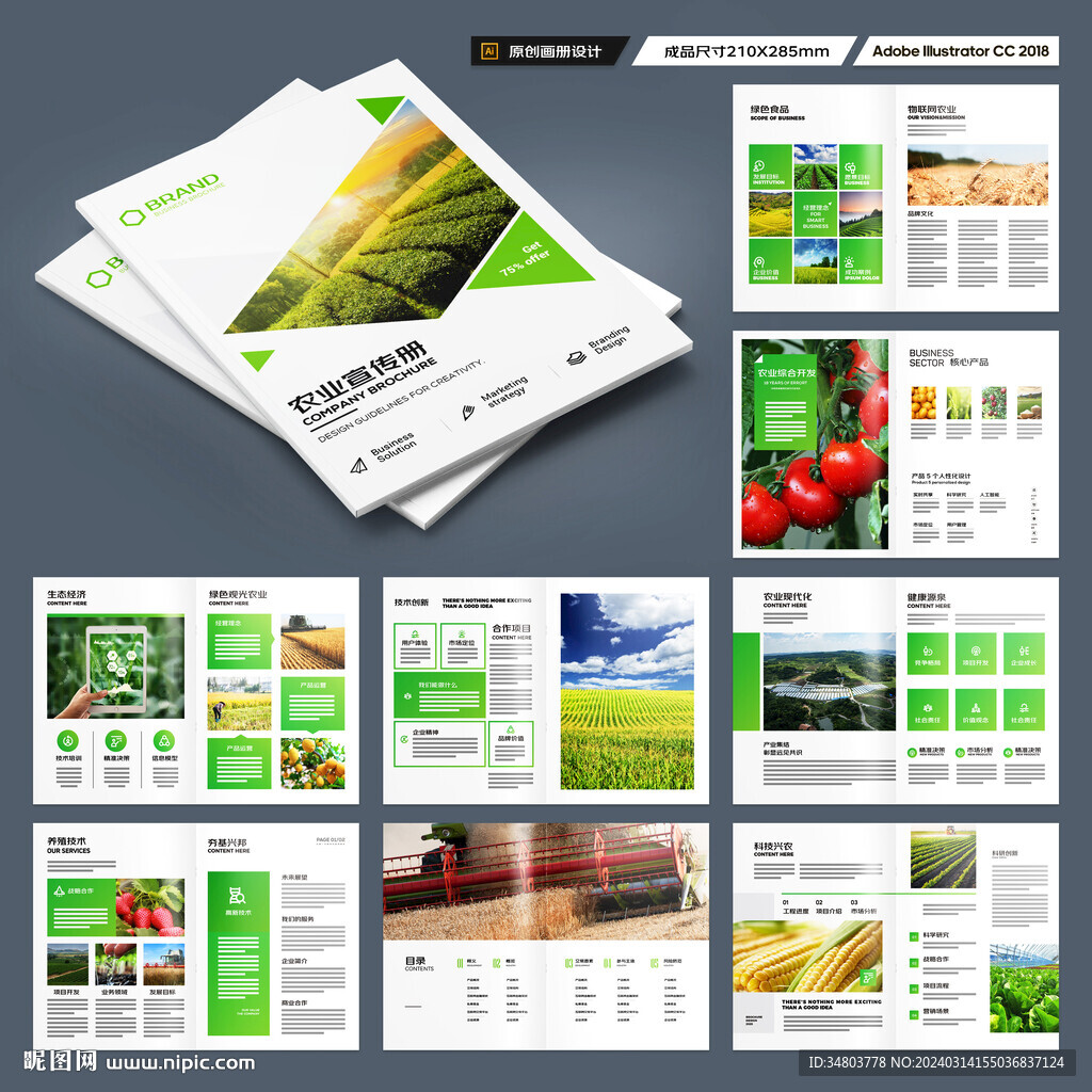 农业宣传册