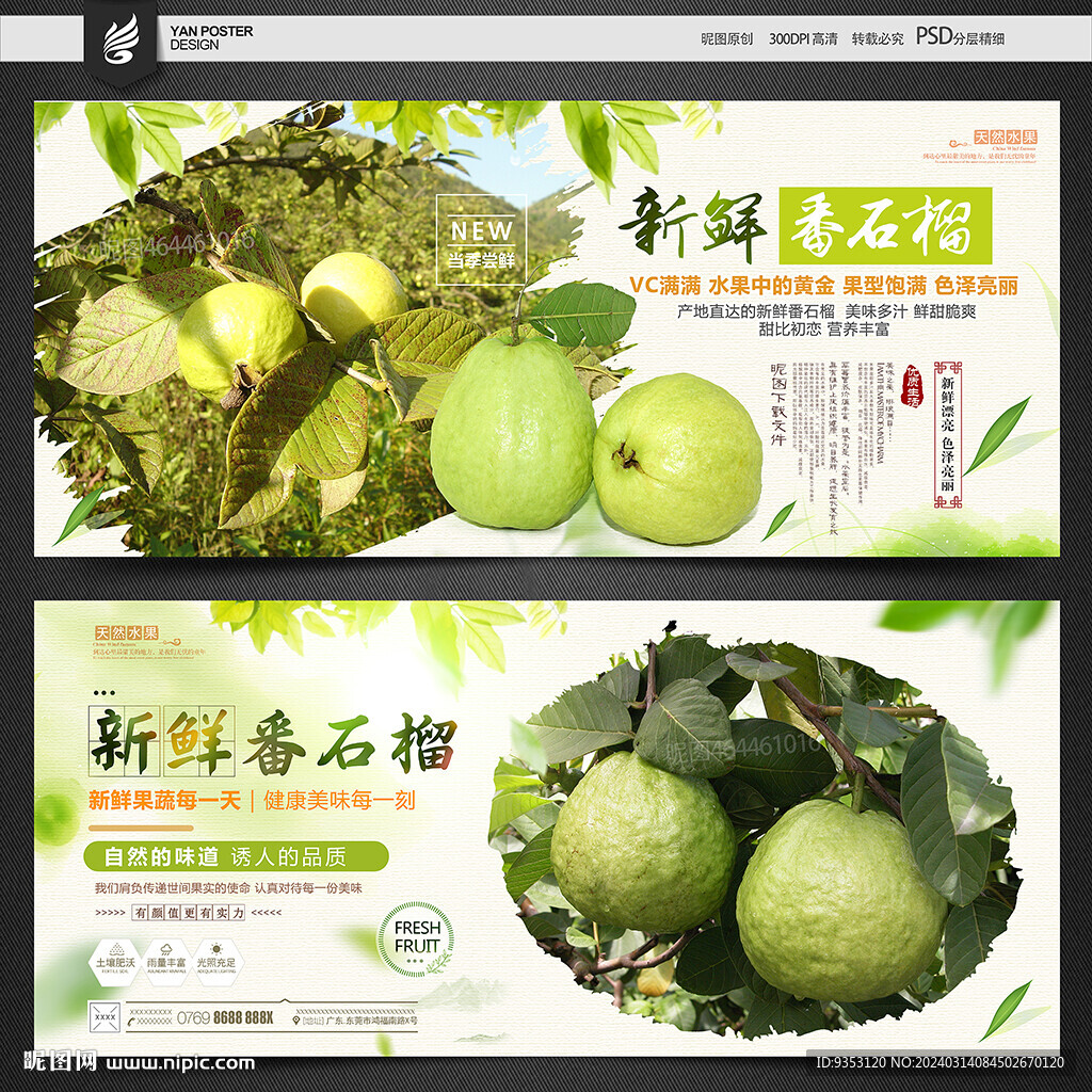 番石榴