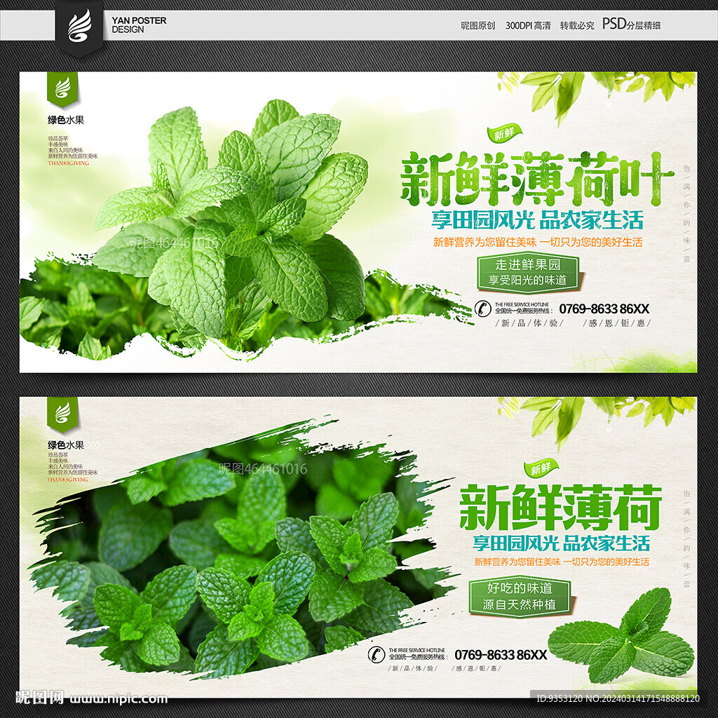 薄荷