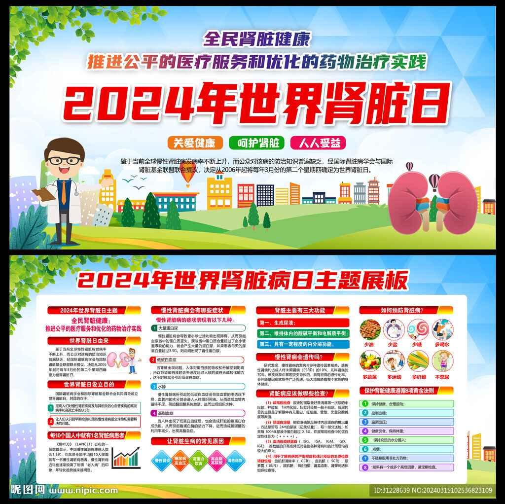 2024年世界肾脏日