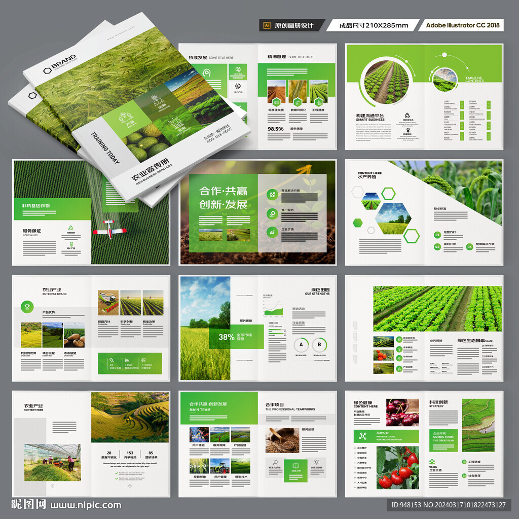 农业合作社画册