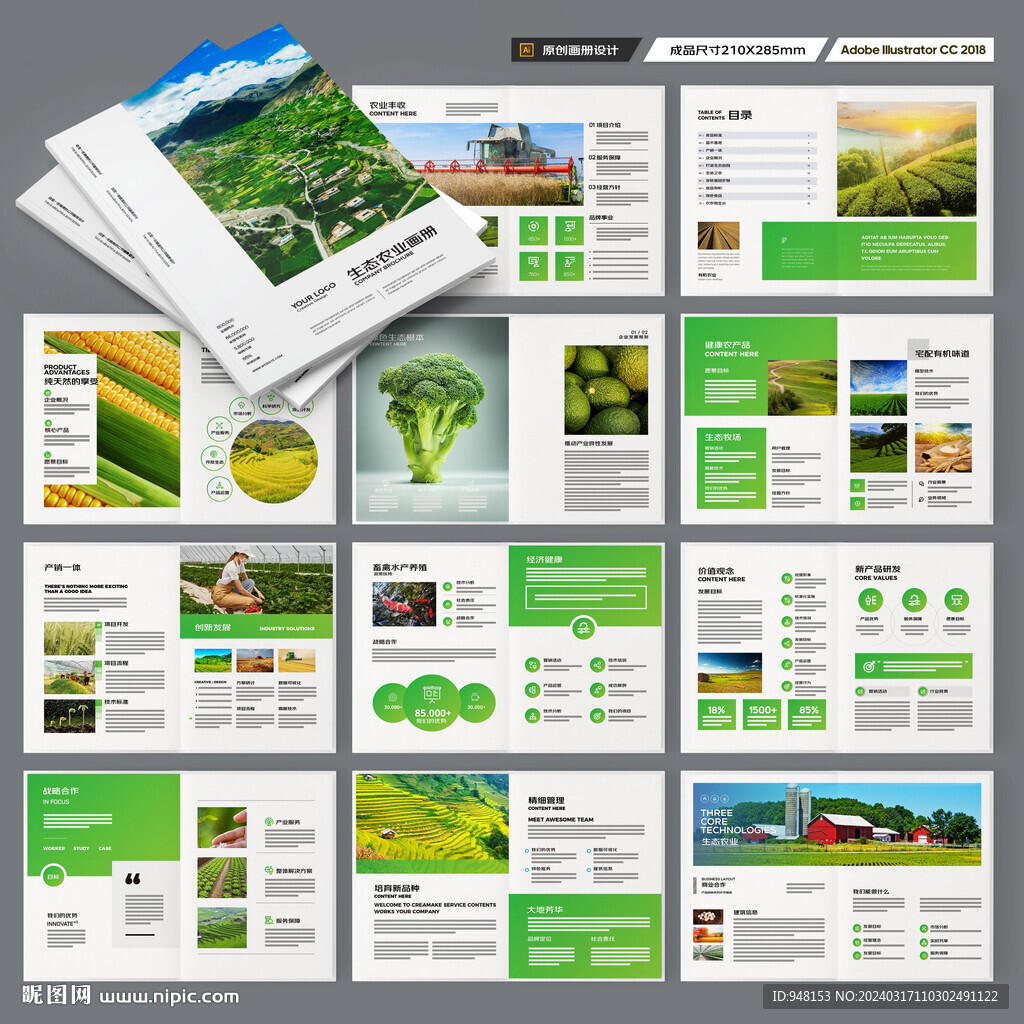 农产品宣传册