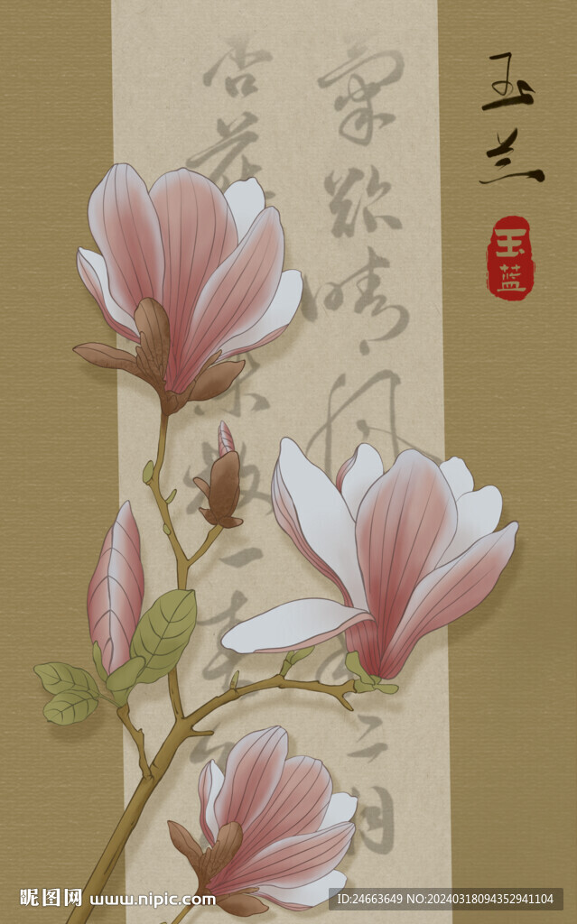 玉兰花 插画