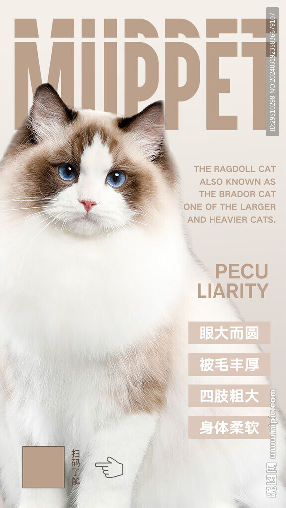 宠物海报设计