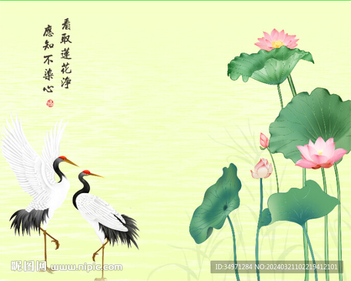 荷花 仙鹤 