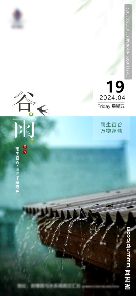 谷雨海报