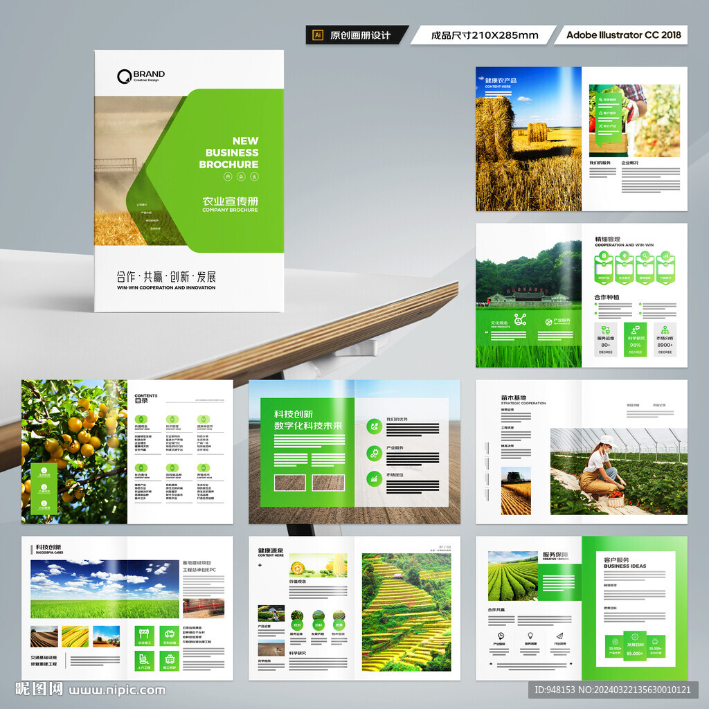 农产品宣传册