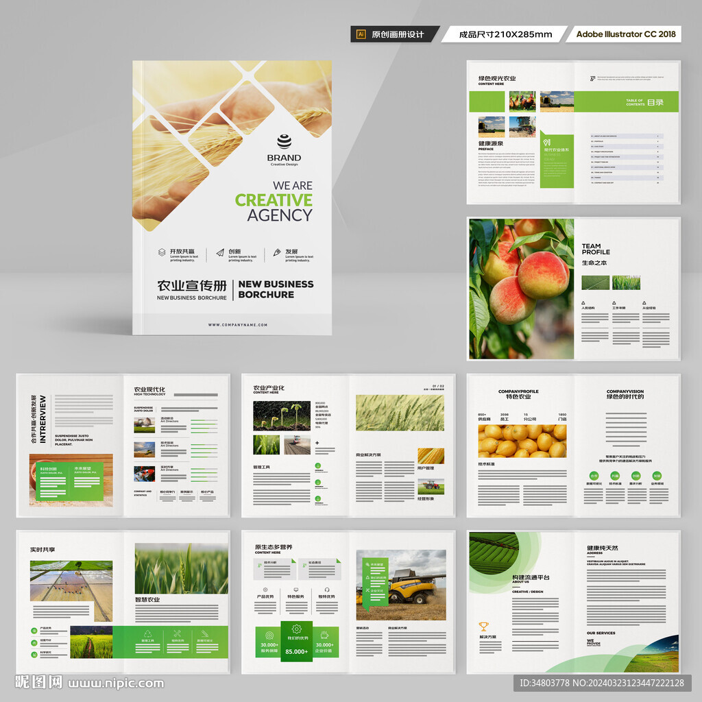 绿色农业画册