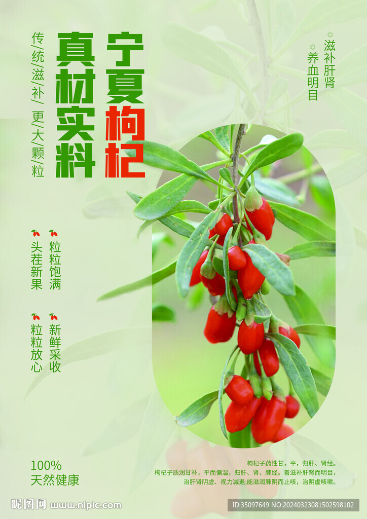 枸杞