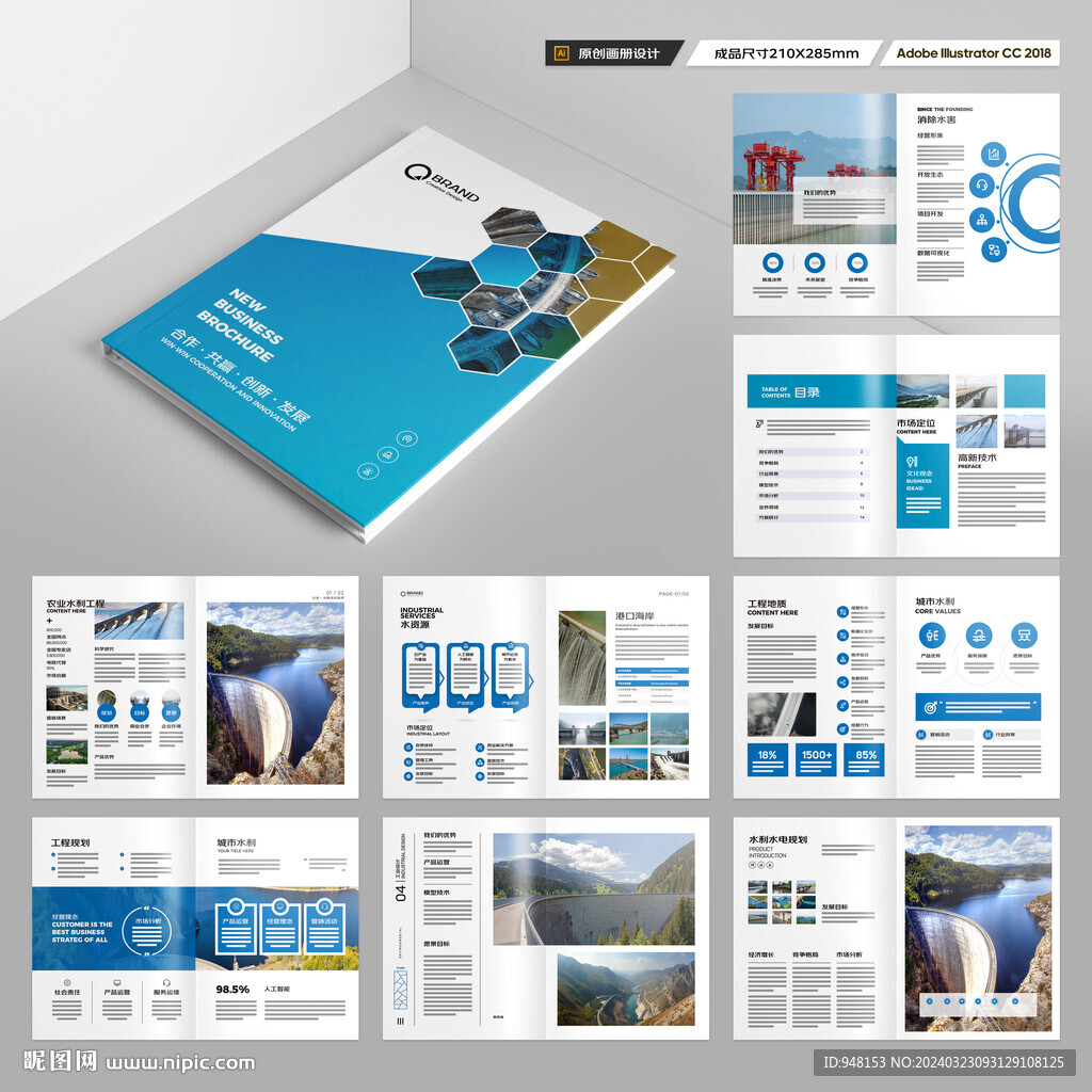 大坝宣传册 