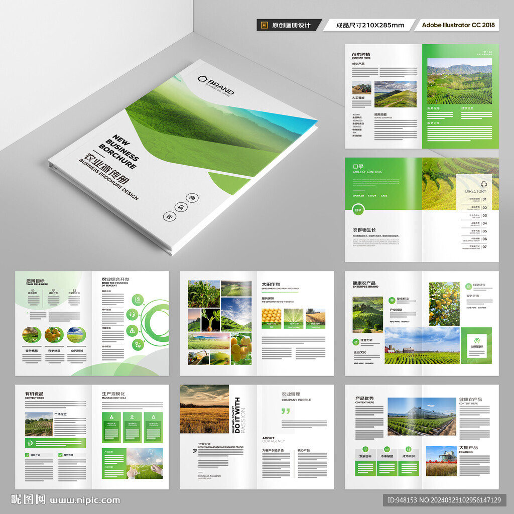 农产品宣传册
