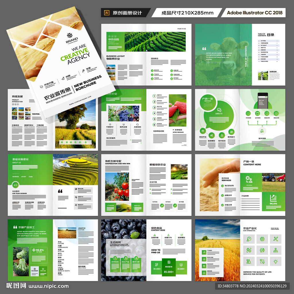 农业合作社画册