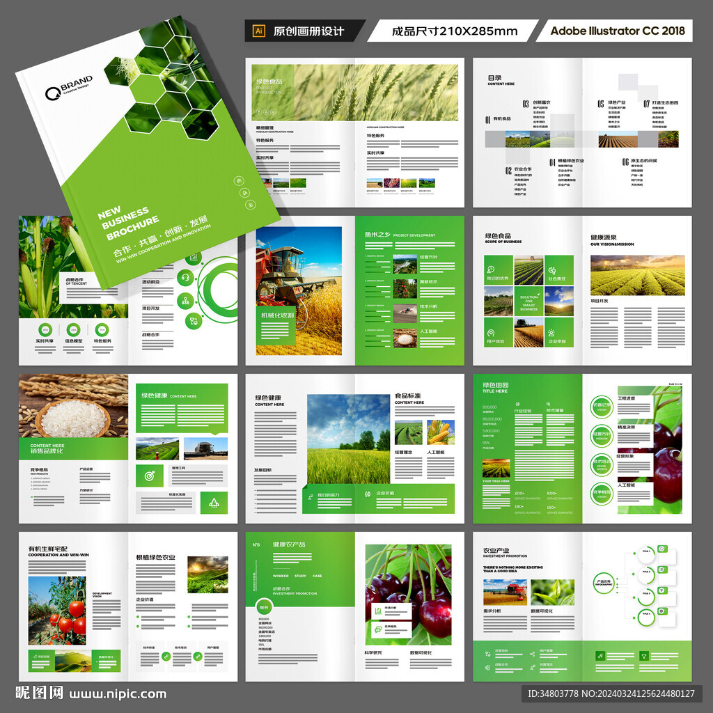 农业科技画册