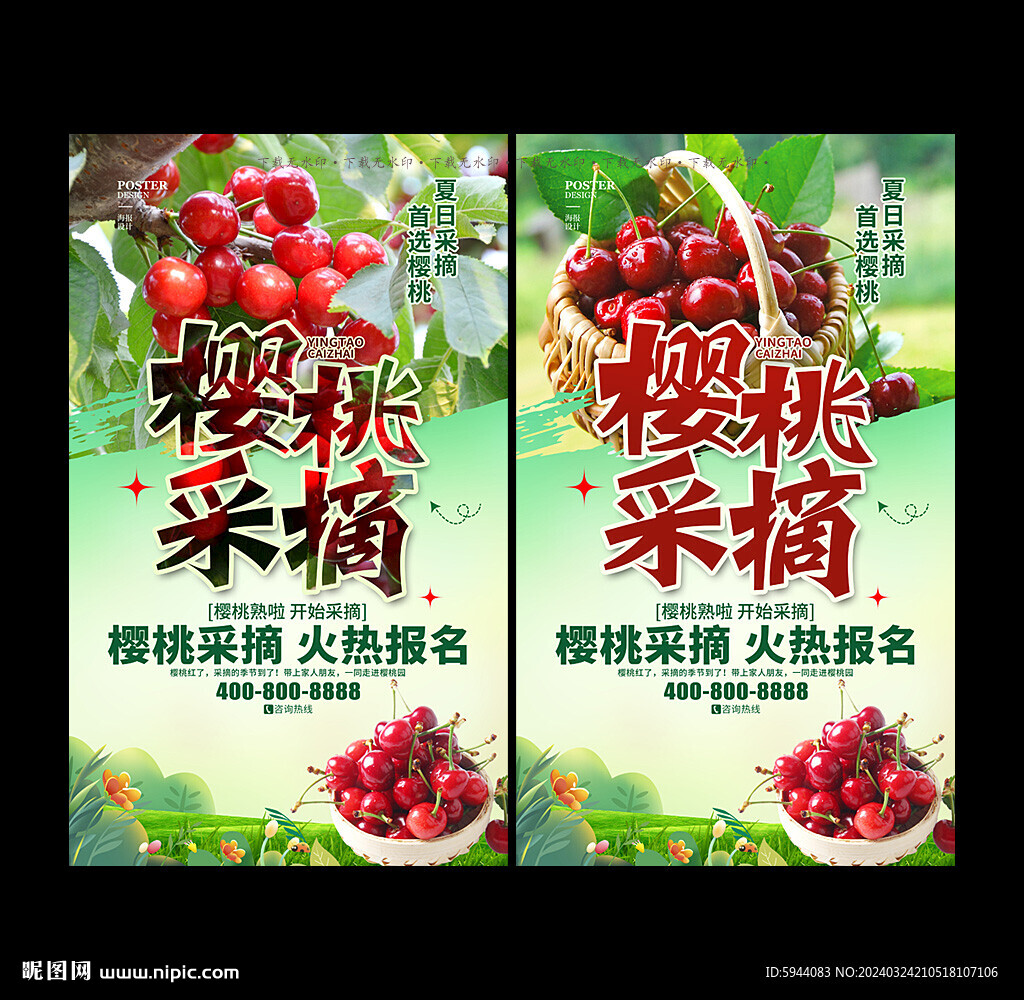 樱桃