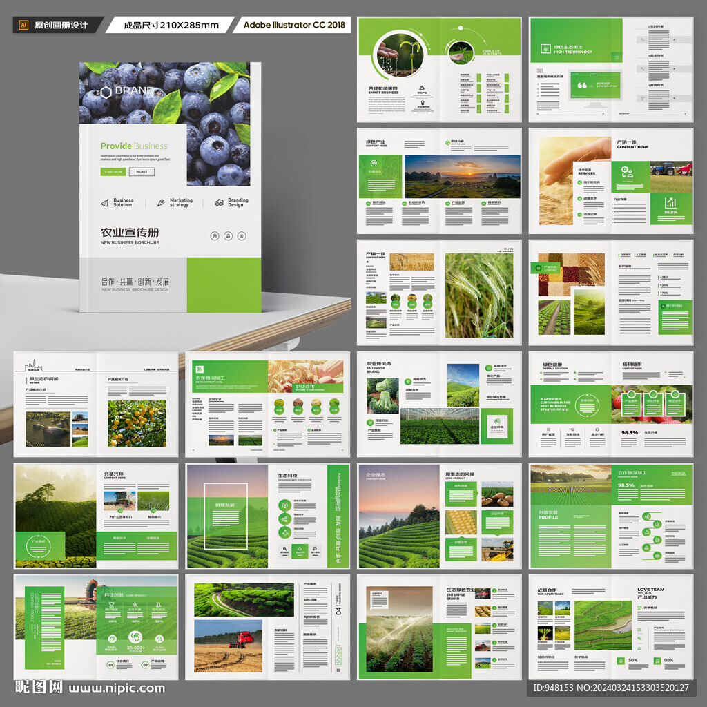 农产品宣传册